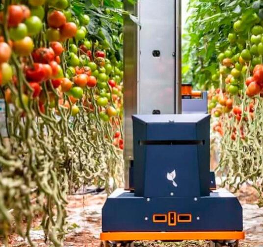 Роботы для оценки урожая Plantalyzer готовы к работе