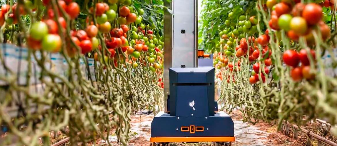 Роботы для оценки урожая Plantalyzer готовы к работе