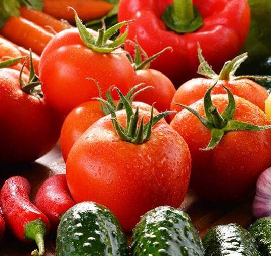 В Краснодарском крае производство тепличных овощей выросло на 20%