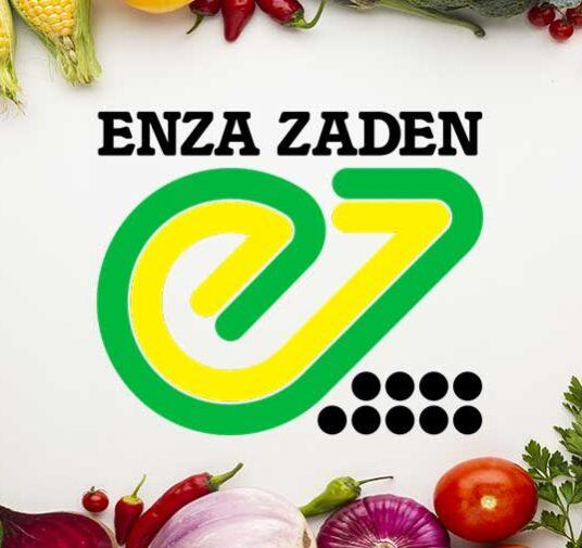 Экспресс-Агро - официальный дилер Enza Zaden в России!