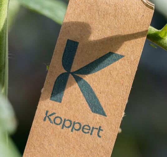 Новая упаковка Mirical от Koppert для борьбы с белокрылкой