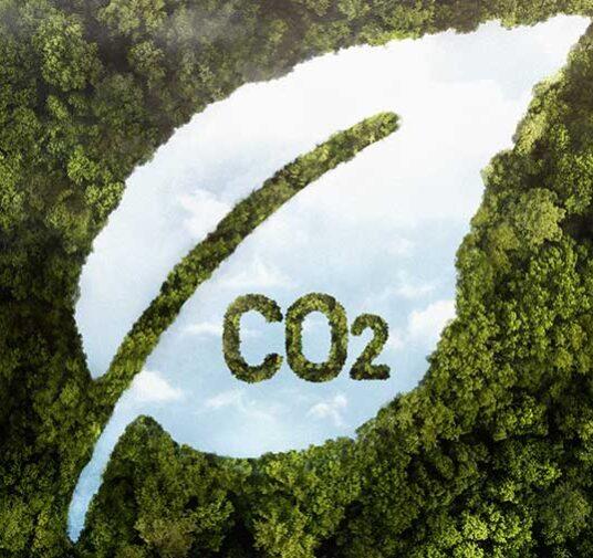 Уровень CO2 в теплице